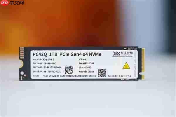 疾速7000MB/s!长江存储PC42Q 1TB SSD图赏