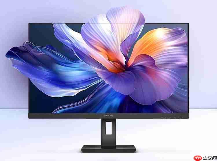 飞利浦商用显示器双·12年终狂欢来临,错过还要等一年!