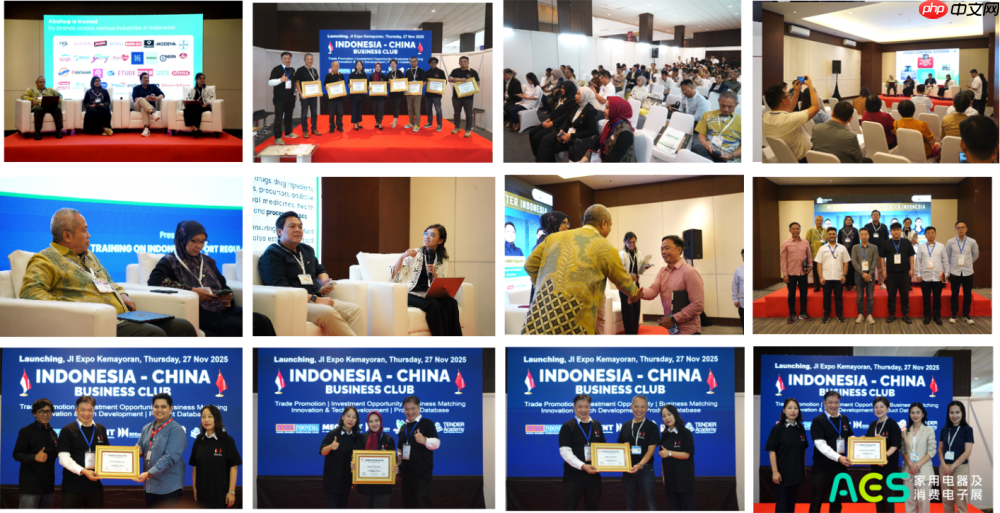 第十届AES印尼展火爆收官,四天展期加倍商机,2026年AES印尼展再见!