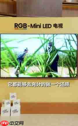 50分钟硬核科普!人民日报为海信RGB-Mini LED电视打call:这创新很中国