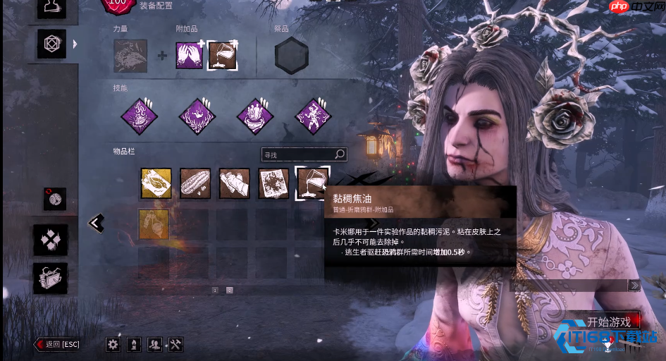 乌鸦女巫核心玩法解析 从技能搭配到配件选择的完整攻略