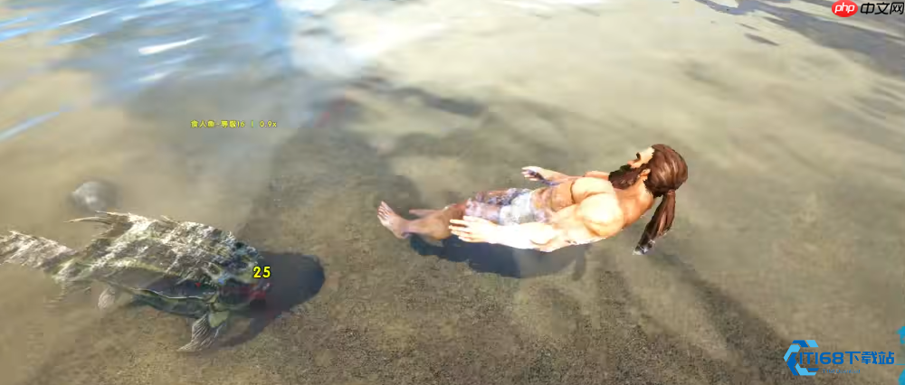 水域生存指南:应对食人鱼的全面攻略