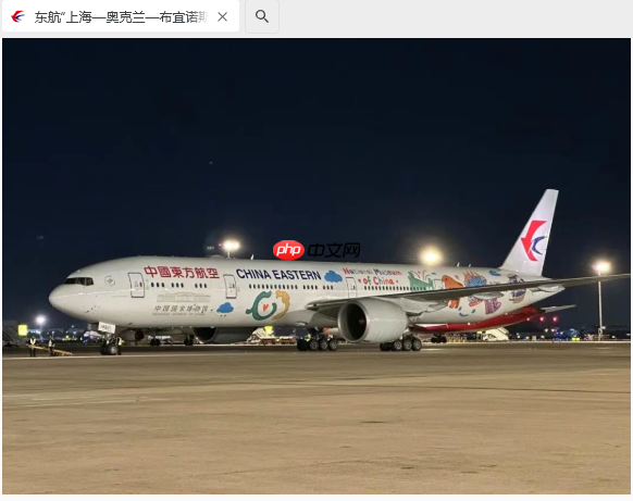 中国东航详解全球最长单程民航航线,由上海飞往布宜诺斯艾利斯