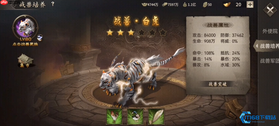 战兽系统完全指南:从解锁到国战妙用