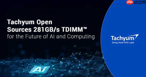 Tachyum发布新型TDIMM内存技术 单条带宽达281 GB/s
