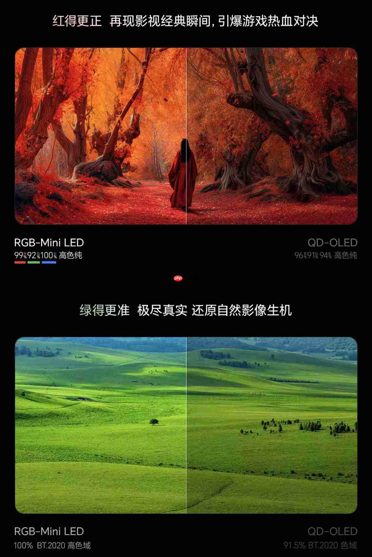 双12抄作业，3米开间上百吋，上墙后全家都夸买对了