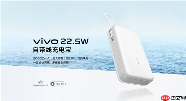 市场出现仿冒充电宝!vivo法务部:已报案