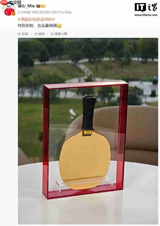 乒乓球超级全满贯樊振东任小米之家一日店长，获赠特别定制金球拍