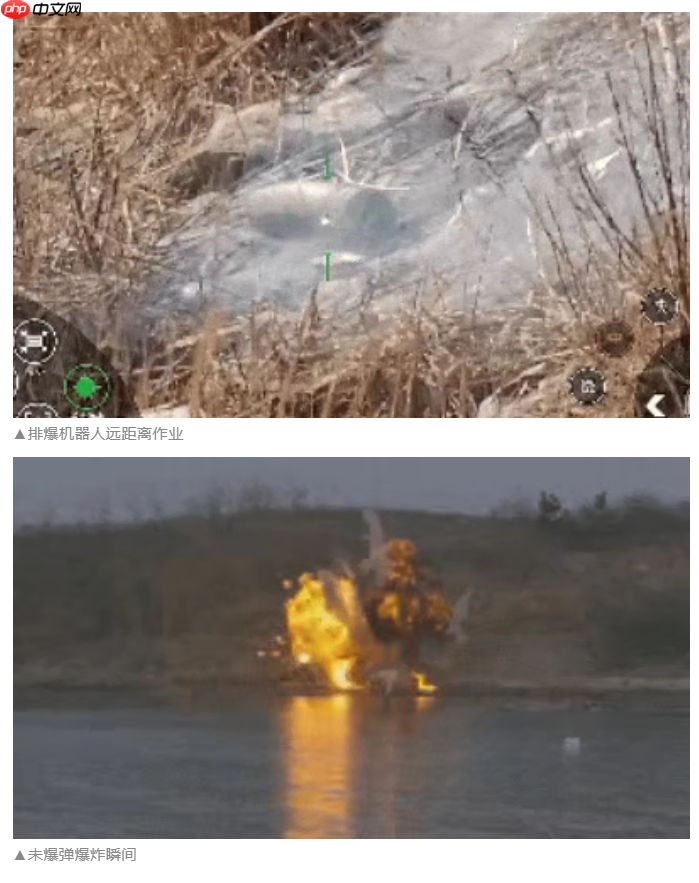 无人潜航器、磁探机器狗组团出击，我国海军实训现场画面公布