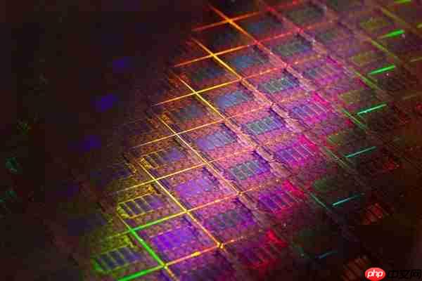 不硬扛了!荷兰:中止干预安世半导体