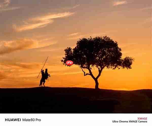 何刚晒华为Mate 80系列实拍样张:红枫影像色彩表现一绝