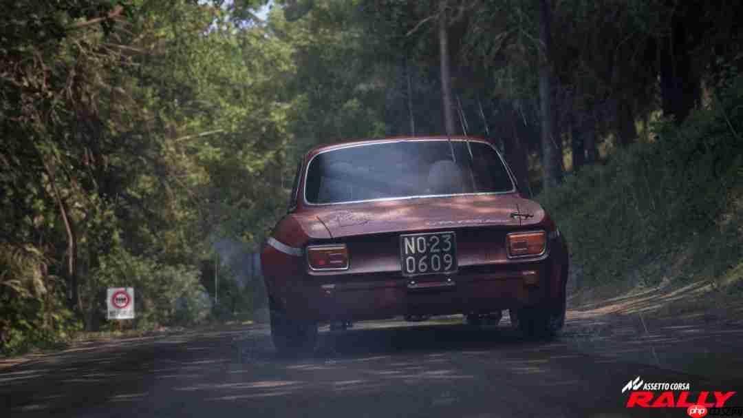 《神力科莎：拉力》Steam抢先体验开启 专业级拉力赛体验