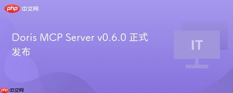 Doris MCP Server v0.6.0 正式发布