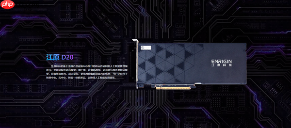 国内首款！江原D20 AI加速卡发布：全国产 速度提升40%