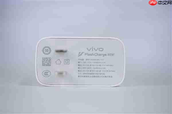 2亿像素旗舰主摄！vivo Y500 Pro图赏