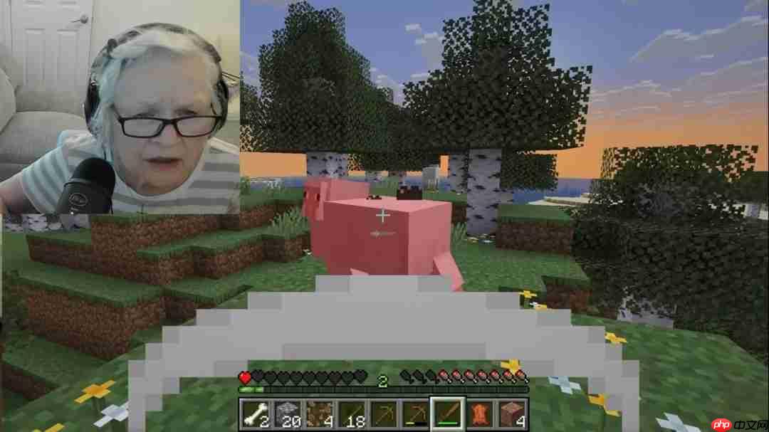 《我的世界》直播老奶奶爆火 游戏中狂怒附体观众惊叹