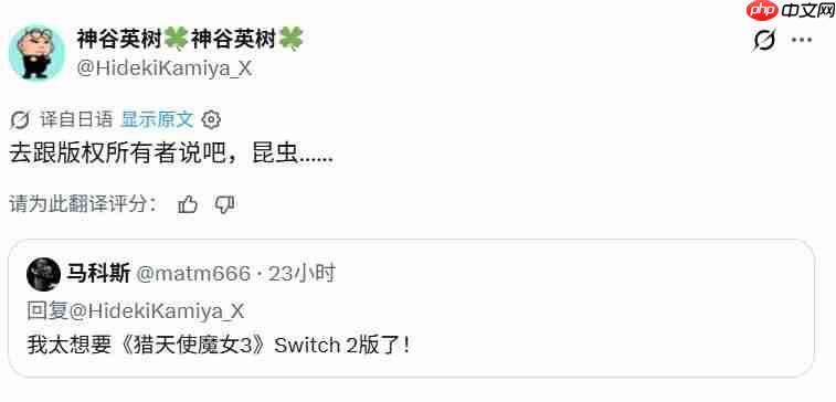 别来问我！ 神谷英树回应《猎天使魔女3》是否存在Switch2版