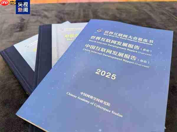 2025互联网蓝皮书今日发布：中国6G专利申请量全球第一