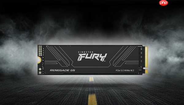 金士顿FURY Renegade G5大容量SSD上市:8TB版本首发6399元