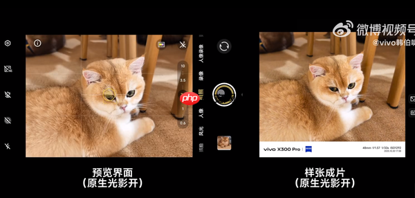 vivo产品经理详解X300原生光影:减少AI干预 还原真实