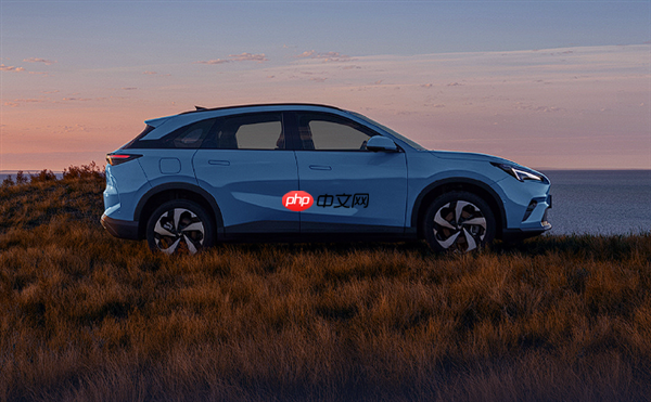 限时优惠价10.98万起 极狐全新阿尔法T5上市:用料很下本!