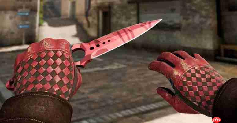 CS2玩家库存暴跌怒告V社 向美国证监会举报寻求维权