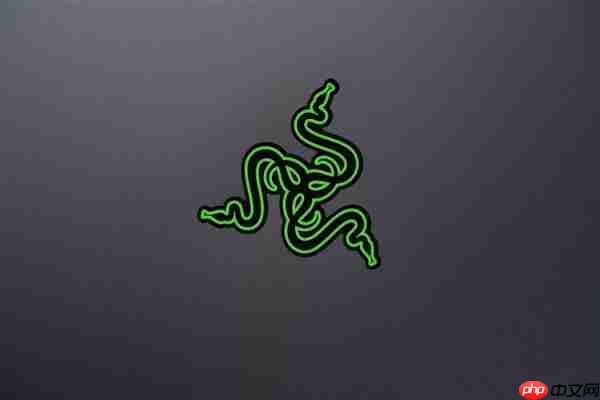 RTX 5090性能怪兽!雷蛇灵刃18 2025游戏本图赏