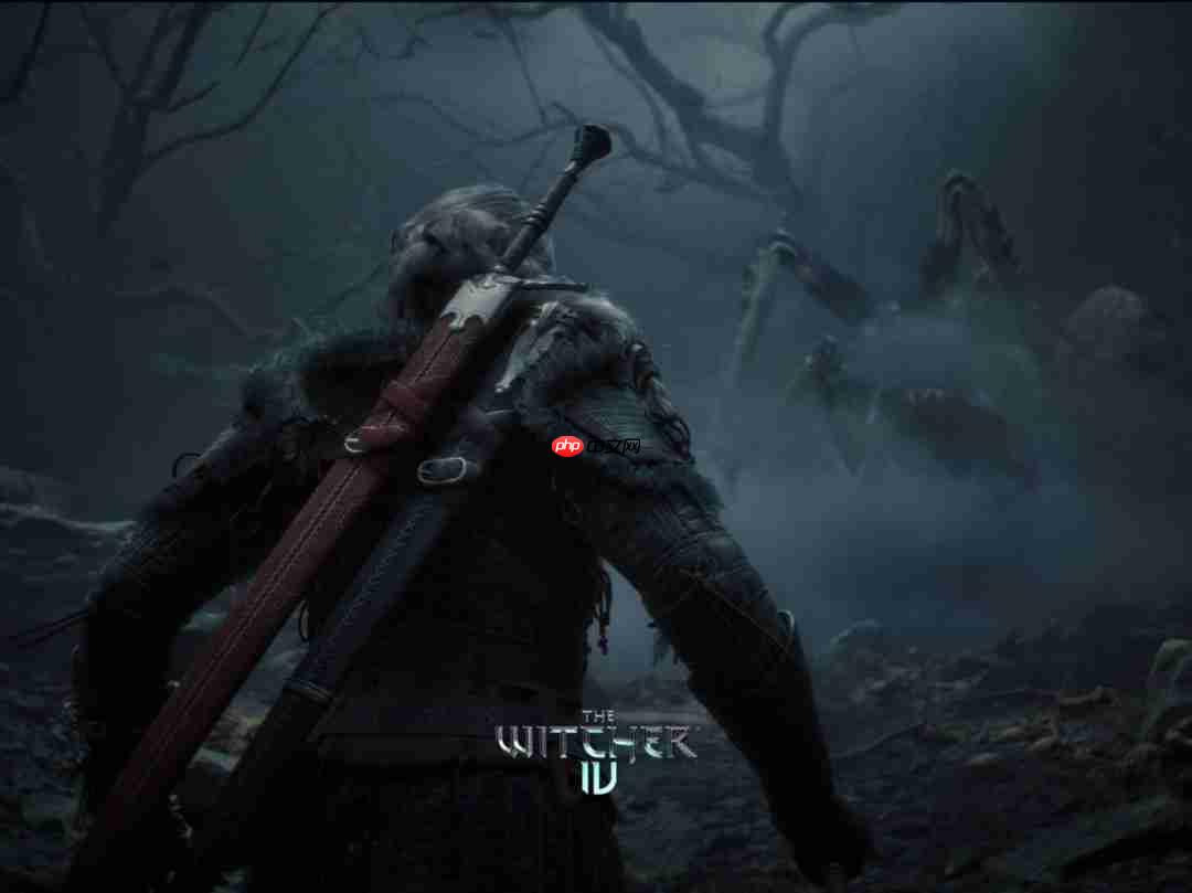 还有惊喜！ CDPR招聘信息透露《巫师》宇宙新项目