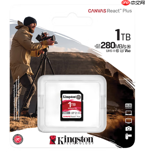 扩容刚需 金士顿新款CanvasPlus存储卡
