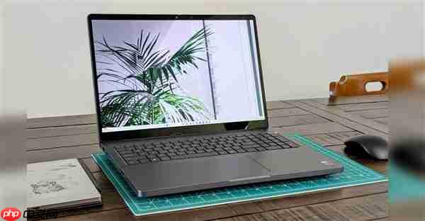 NVIDIA RTX PRO 5000专业显卡首测：居然搭配128GB CAMM2内存