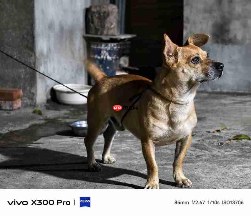 史上最强的影像旗舰!vivo X300 Pro评测:越级挑战的全能神机