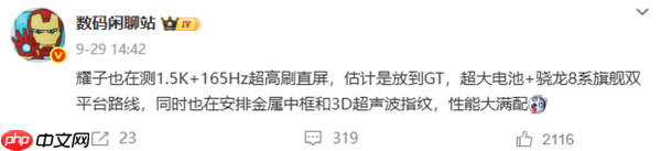 荣耀GT 2系列配置曝光:9000mAh电池+165Hz直屏