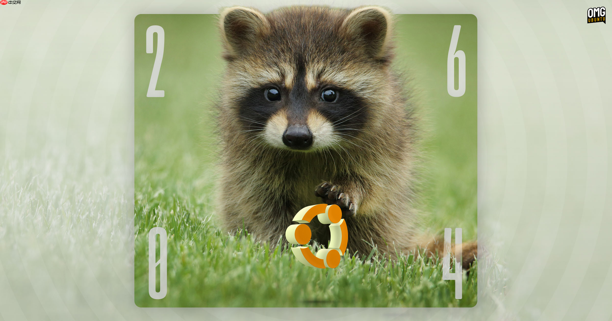 Ubuntu 26.04 LTS 代号公布:Resolute Raccoon