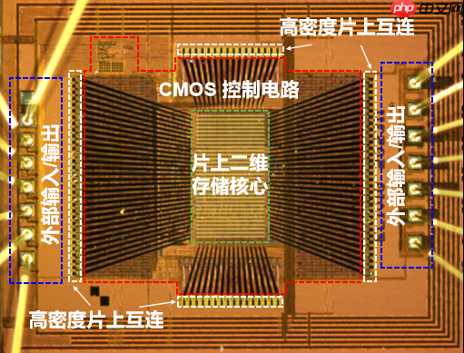 全球首颗!复旦团队成功研发二维-硅基混合架构闪存芯片