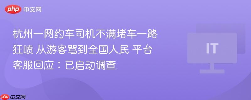 杭州一网约车司机不满堵车一路狂喷 从游客骂到全国人民 平台客服回应：已启动调查