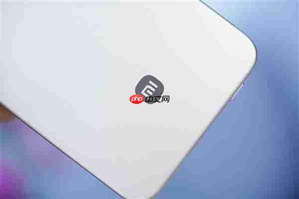 299元的小米金沙江磁吸充电宝卖断货：闲鱼加价到400多