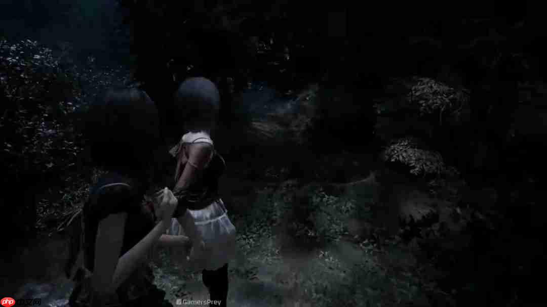 《零红蝶:重制版》新实机演示 姐妹牵手探索