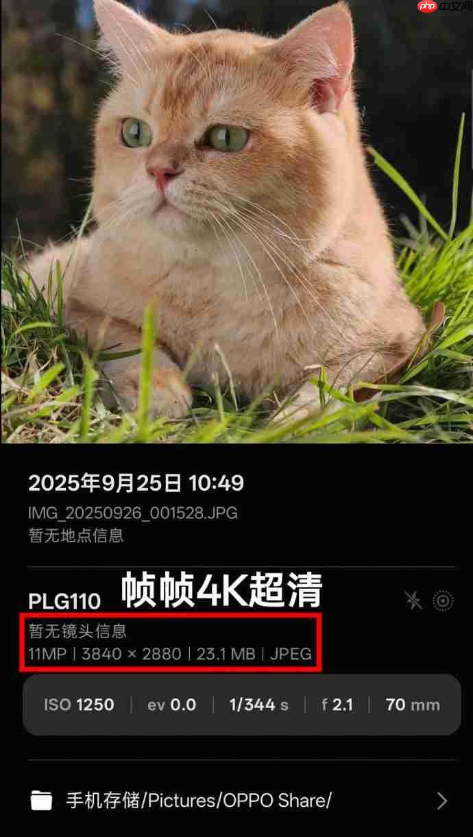 OPPO Find X9系列首发4K超清实况照片,引领影像新纪元