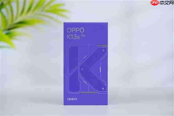 满级防尘防水仅1499元!OPPO K13s图赏