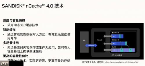 专为内容创作、AI应用打造的存储设备来了！闪迪媒体分享会展示新款SN5100 SSD