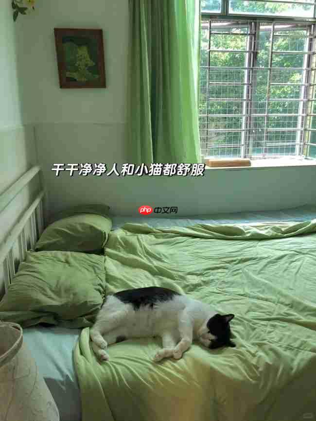 养宠家庭必看:除螨仪到底要不要买?多久用一次?友望大白Ultra给答案