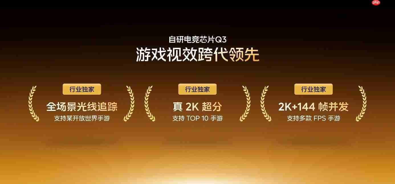 iQOO 15性能技术沟通会召开：惊喜不止自研电竞芯片Q3