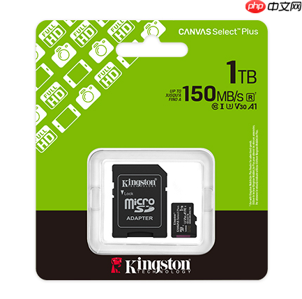 上山下海随心拍  金士顿新Canvas Plus闪存卡选择技巧
