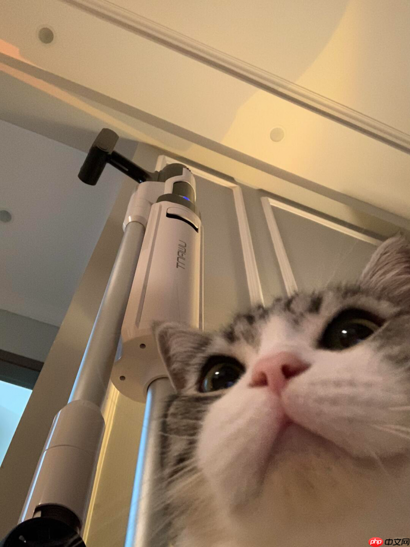 自集尘技术崛起，友望以本土创新颠覆戴森市场霸主地位