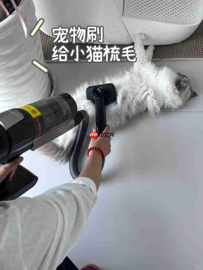 洗地机与吸尘器终极科普：功能、差异与选购全指南