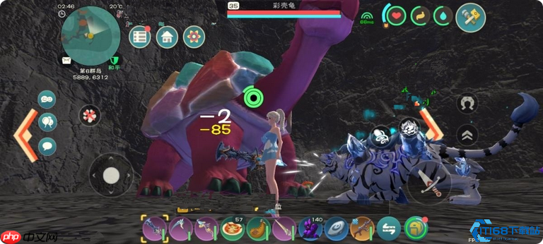 《创造与魔法》龟类驯养大全:从萌新到大师的龟速起飞指南