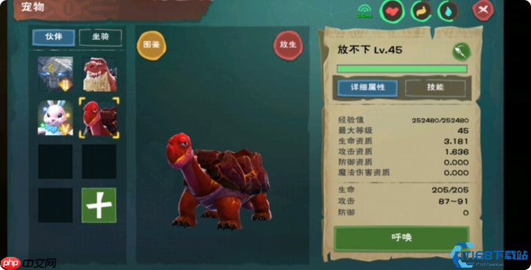 龟饲料制作终极手册:高效捕捉全系龟宠指南