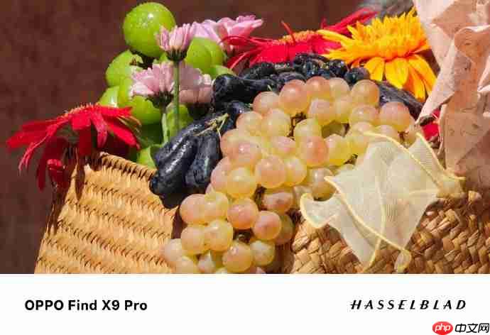 OPPO Find X9系列发布在即:真2亿像素引领手机影像画质革命