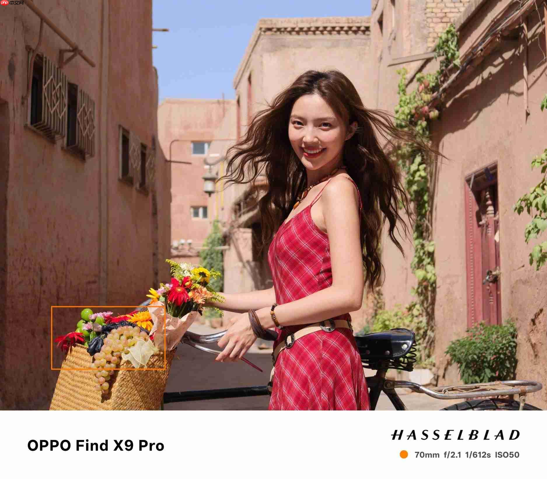 画质革命!OPPO Find X9系列释出2亿像素样张