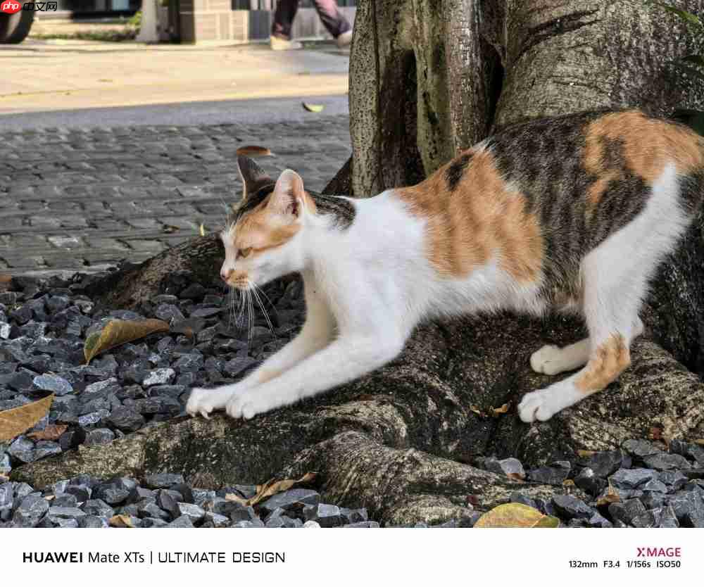 华为Mate XTs体验：降价2000元反而更强了，三折叠实用的开端？